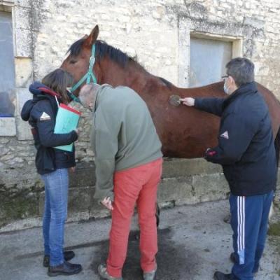 2021.06.05 Entraînement pour la Route du Poisson